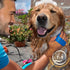 Dog Bath Brush - Silicone Grooming & Shedding Brush for Dogs & Cats, Pet Hair Removal Tool for Deep Clean & Massage