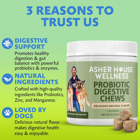 Upset 120 Asher House Wellness Probiotics Digestive Chew for Dogs - Dog Probiotic, Digestive Enzymes for Gut Health
