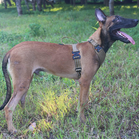 ICEFANG Dog Strap Harness, Large, K9 Vest, Y-Shape Chest, Adjustable, No-Pull Front Leash Clip, Pack of 1, Brown
