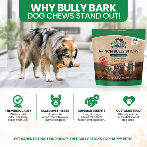 6 24 Count Thin Bully Sticks for Dogs - - Natural, Odor Free, High Protein, Grass-Fed Beef Pizzle Sticks for Dogs