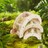 Jinkoozz 3 Pcs Hermit Crabs Climbing Toys, Natural Wooden and Hemp Rope Climbing Bridge, Hermit Crab Supplies, Reptile