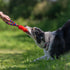 Tug-E-Nuff Pocket Fauxtastic - Durable Bungee Tug Toy for Interactive Dog Training, 13 x 7.5 inches