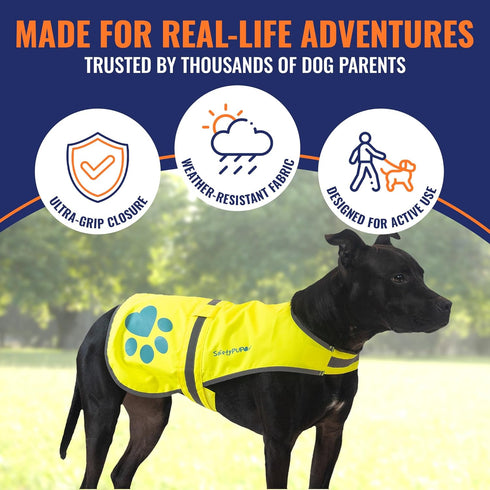 Dog Reflective Vest – Hi-Vis Fluorescent Visibility for Your Pet On/Off Leash in Urban & Rural Areas (Yellow, X-Large)