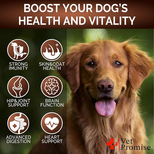 170 Immunity Turkey Tail Mushroom for Dogs - Chews - Mushroom Supplement for Dogs - Lions Mane - Reishi - Support