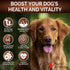 170 Immunity Turkey Tail Mushroom for Dogs - Chews - Mushroom Supplement for Dogs - Lions Mane - Reishi - Support