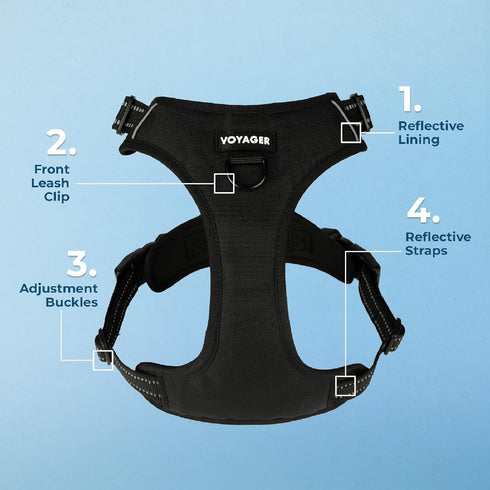 Voyager No Pull Dog Harness, Adjustable Soft Strong Pet Harness for Medium Dogs, Black Nylon with Dual Leash