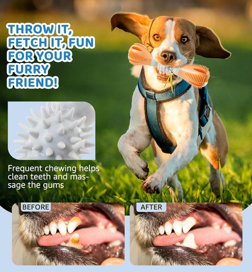 Durable Dog Chew Toy, Natural Rubber Treat Dispensing Puzzle Toy for Small & Medium Breeds Interactive Teething