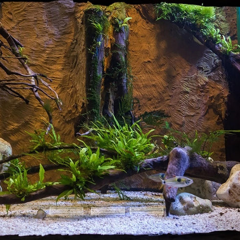 5 SUPVOX Acrylic Shrimp Cave Aquarium Hideout with Holes, Fish Tank Decor Shelter for Breeding and Observation