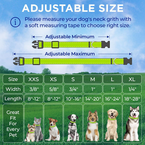 TECEUM Reflective Pet Collar – Basic Nylon Dog Collar – Quick Release Buckle – Acid Green – S – Extra Soft Padding –