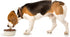 PetRageous 16010 Kona Stainless Steel Non-Slip Dog Bowl, 3.75-Cup, 6.75-Inch Diameter for Medium and Large Dogs