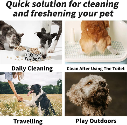 LEOARWE 3-in-1 Pet Wipes Kit for Dogs & Cats - Pet Cleaning Gloves, Ear Cleaner Finger Wipes & Body Wipes