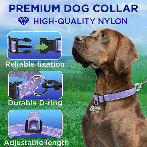 TECEUM Reflective Pet Collar – Lavender – XL – Basic Nylon Dog Collar – Quick Release Buckle – Fits Small, Medium and Large Dogs, Puppies, Cats – ESA & Service Dog Options