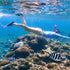 Kids Snorkeling Set, Children Mask Fin Snorkel Gear with Adjustable Flippers & Travel Bags