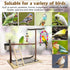 Finch Bird Playground Parrot Playstand Parakeet Gym Playpen Cockatiel Play Stand Wood Perch Exercise Activity Center