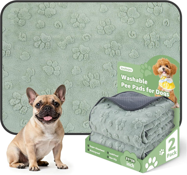 LOOBANI Washable Pee Pads for Dogs: 2 Pack Super Absorbent Reusable Puppy