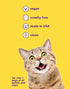4.2 Oz) Petsmile Professional Pet Toothpaste for Cats & Dogs - VOHC Accepted Toothpaste - Clinically Proven to Control