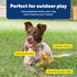 PetSafe Busy Buddy Squeeze Meeze - Fun Turkey Latex Dog Toy for Light Chewers