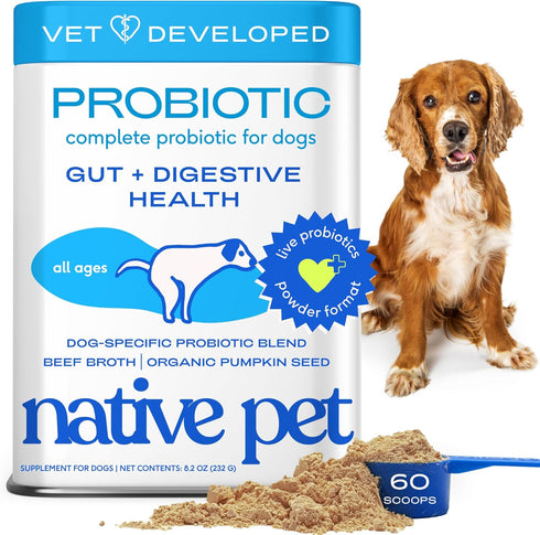 Native Pet Probiotics for Dogs Dog Probiotic Powder for Gut & Digestive