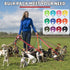 12 Pcs Nylon Dog Leash Bulk, 5ft Dog Training Leash in 12 Colors for Small Medium Dogs, Training, Play, Camping (Bright
