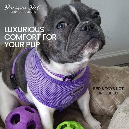 Parisian Pet Girl Dog Harness - Soft Padded Lilac Vest Harness for Medium-Sized Dogs, Cooling for Walking