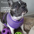 Parisian Pet Girl Dog Harness - Soft Padded Lilac Vest Harness for Medium-Sized Dogs, Cooling for Walking