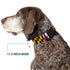 Buckle-Down Plastic Clip Collar, Maryland Flags, 1" Wide, Fits 15-26" Neck, Large