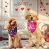 Agroon 3PCS, 6 Dog Valentines Bandana XLarge Pattern Sweetheart Scarf for Boy and Girl, Red Pink Black Triangle
