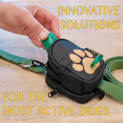 Dog Poop Bag Holder for Leash Dog Treat Pouch, Cute Premium Double Sided Bag Dispenser with Clip Attachment, Outdoor