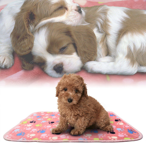 kiwitatá Flannel Throw Dog Blankets for Puppy & Cat, Soft Warm Fleece, Cute Paw Print Pet Sleep Mat (30"X41")