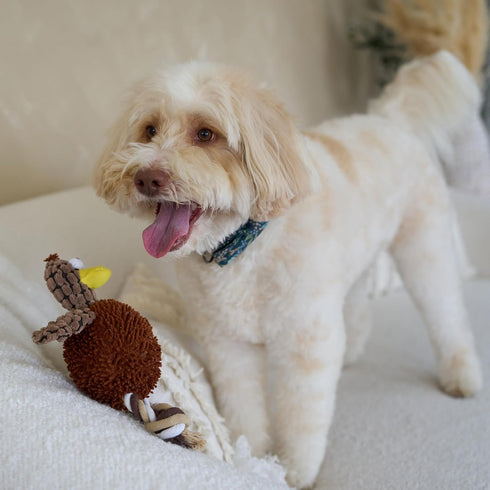 SPOT 12" Gigglers Chicken Dog Toy with Giggle Sound, Textured Plush Tug Toy with Rope Legs, for Small and Medium Dog