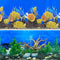 Aquarium Background Seabed Coral Rock Water Plants, Fish Tank Backdrop for 10-20 Gallon Tanks
