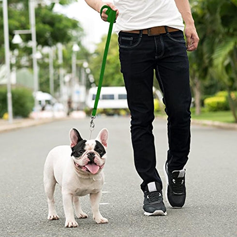Downtown Pet Supply Long Dog Leash - 15 ft Nylon Training Leash in Green