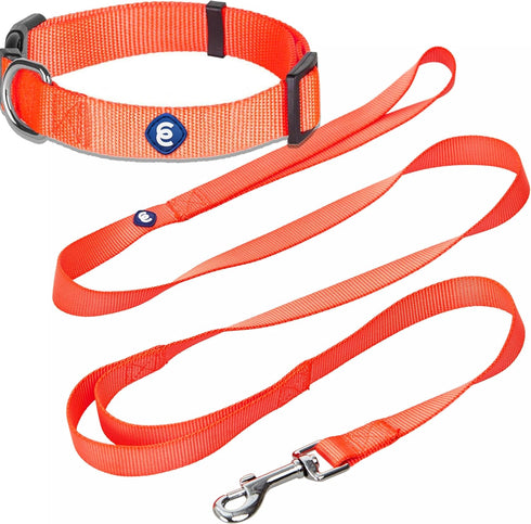 Blueberry Pet Essentials Matching Dog Collar and Double Handle Leash Set in Florence Orange for Large Dogs