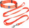 Blueberry Pet Essentials Matching Dog Collar and Double Handle Leash Set in Florence Orange for Large Dogs