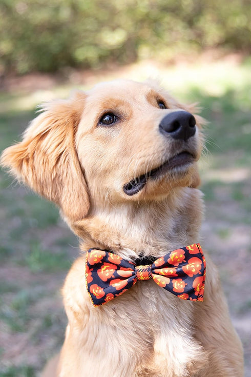 Huxley & Kent Bow Tie for Pets, Plaid-O-Lantern (Large), Halloween Velcro Bow Tie Collar Attachment for Dogs & Cats