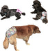 Leak Proof Waterproof Cat Dog Diapers, Female Washable Reusable Absorbent Pad for Small Medium Large Pets, Pack of 2