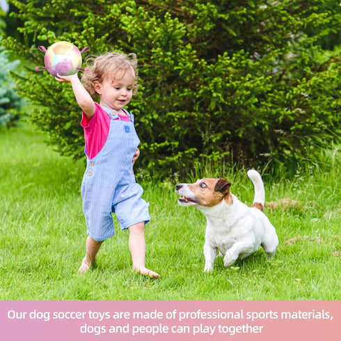 Dog Toys Soccer Ball with Straps, Durable Tug of War Balls, 5 Inch Puppy Birthday Gifts, Dog Water Toy for Small Dogs