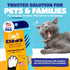 Soft Claws Cat Nail Caps for Large Cats, 40 Caps, Clear - Veterinarian-Developed, Non-Toxic