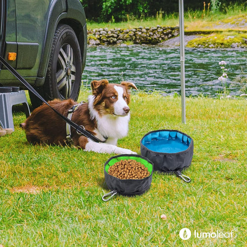 LumoLeaf Collapsible Dog Travel Bowl - 2 Packs Large 68oz/80oz Lightweight Foldable Bowls for Pets with Zipper