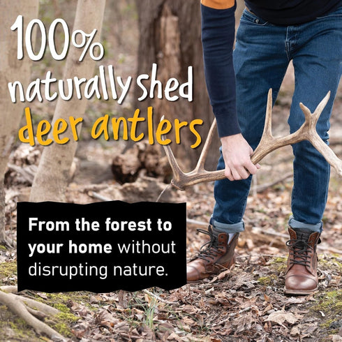 Snatchers Split Elk Antlers for Dogs | Long Lasting Chews for Aggressive Chewers, Naturally Shed