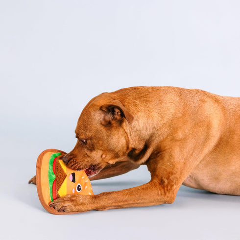 Fringe Studio Plush Dog Toy - Say Cheese!, Durable Pet Shop Collection (729140).