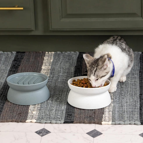 Kitty City Raised Cat Food Bowl Collection, Stress Free Pet Feeder and Waterer with Slow Feed Bowls