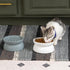 Kitty City Raised Cat Food Bowl Collection, Stress Free Pet Feeder and Waterer with Slow Feed Bowls