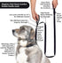 Wagtime Club Soft &Thick Dual Handle 6FT Dog Leash, Premium Nylon Double Padded Handles for Medium, Large or XLarge Dog (Reflective Black)