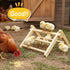 11.02" 9.84" 6.10" Innoland Chick Perch Foldable, Perch for Chicks Stable & No Assemble, Chick Roosting Perch for Stand