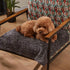 Kritter Planet Waterproof Blanket for Dogs, Pee Proof Sherpa Fleece Reversible Cover for Couch or Bed