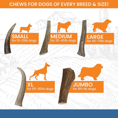 Elk Antlers for Dogs - USA Sourced Antler Chews for Aggressive Chewers, Promotes Oral Health for All Sizes