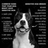 Pride and Groom The Sensitive One Dog Shampoo, All Natural Blend for Puppies & Dogs with Sensitive Skin, 16oz