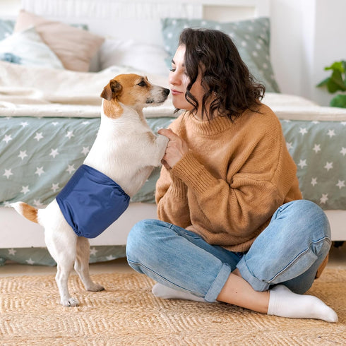 Pet Soft Dog Belly Band - 3 Packs Reusable Male Dog Diapers Belly Wraps, Washable Belly Bands for Male Dogs (Classic, M)