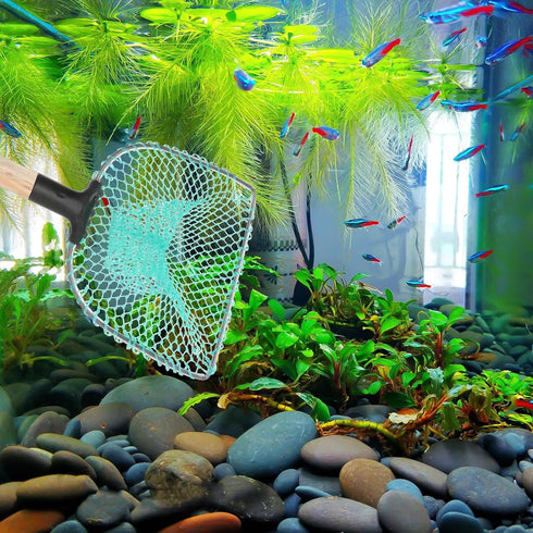 30cm Cabilock Fish Tank Net with Wooden Handle Aquarium Mesh Dip Net for Fish and Shrimp for Home Aquarium Random Color